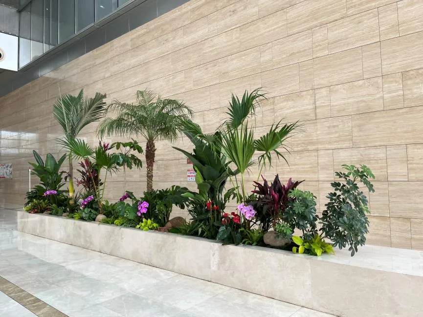 想找慈溪好的盆景租赁？这里的秘密您不能错过！